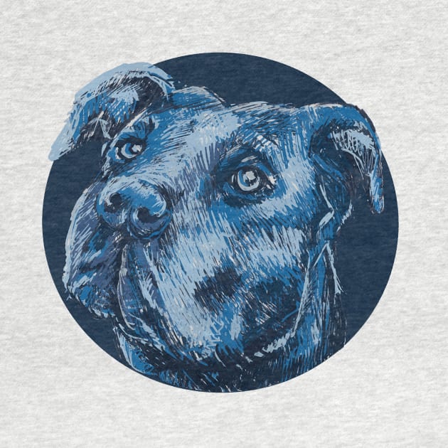 Blue pitbull dog animal portrait by Picasso_design1995